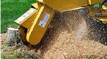 Tree & Stump Grinding